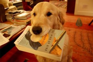 Los mejores libros de perros.