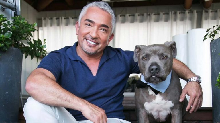 Cesar Millan Perros Que Ladran Mucho